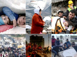 turkey-and-syria-earthquake-wild-pics