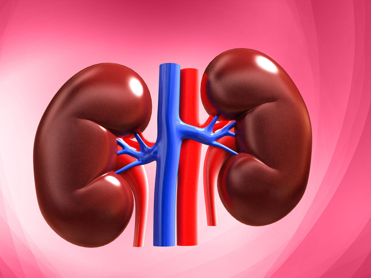 World Kidney Day Special Story