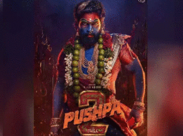 Pushpa 2 Movie