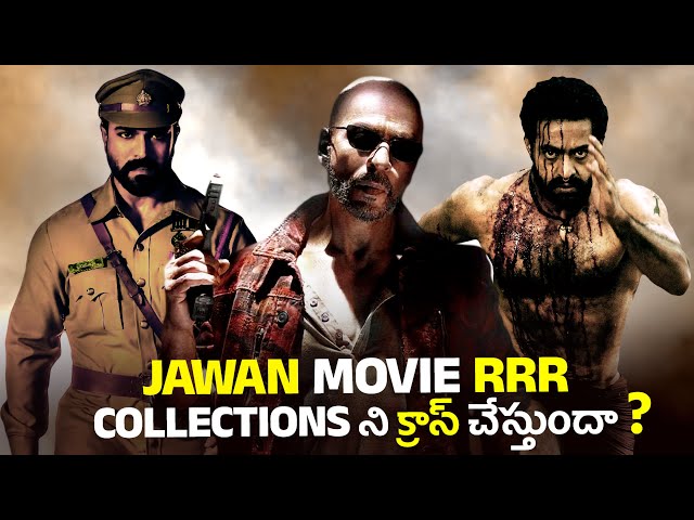 jawan movie two weeks worldwide box office collections