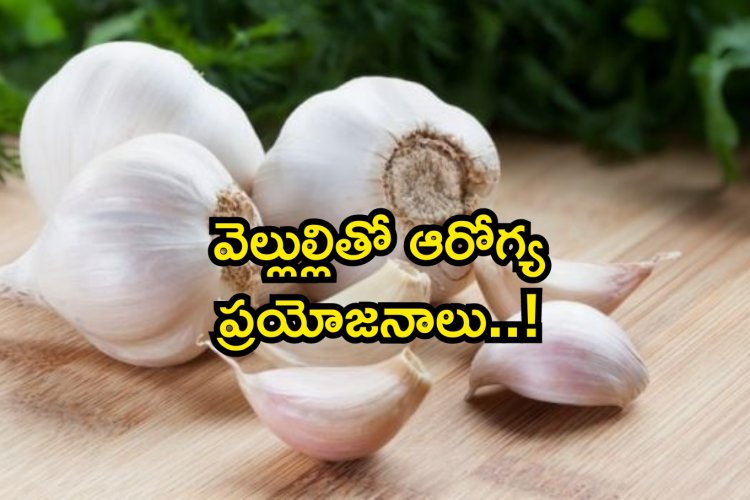 Benefits of Eating Garlic