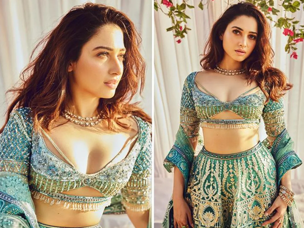 Tamannaah Hot Comments
