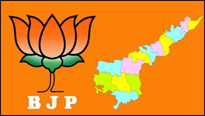 BJP ready to fight alone in AP