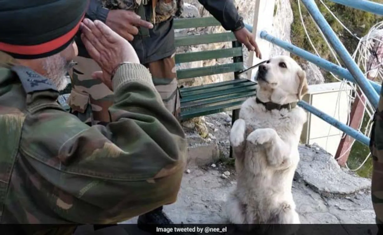 A policeman salutes the dog